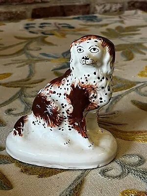 Antique Small Staffordshire Porcelain Spaniel Wally Dog Rare Collectors  • £49.99