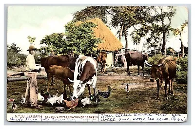 Cuba Habana Havana Countryside Farmers Cowboy Vaquero 1909c Undivided • $15.75