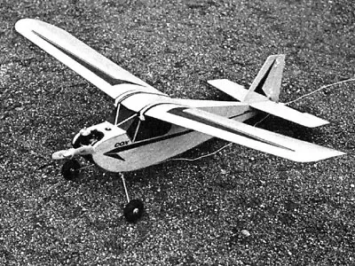 Bienchen Mini Sport Plane 24  WS RC Model Airplane Printed Plans Templates • $20