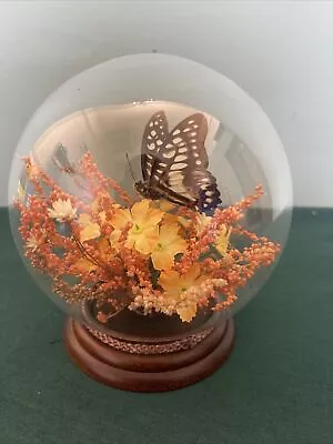 Vintage Taxidermy Butterfly In Small Dome Pretty Display W Dried Flowers • $17
