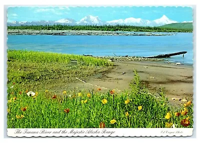 Postcard The Tanana River And The Majestic Alaska Range ACE305 • $1.99