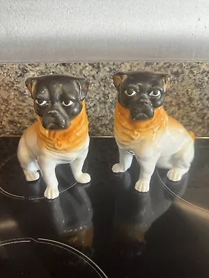 Pair Bavarian Monkey Face Pug Figurines By Schmidt & Co ? Antique 1890 Austria • £62