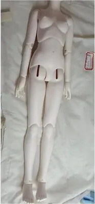 1/3 BJD Doll Volks Girl Body White Color- Only Body (No Head) + Free DHL • $189.99