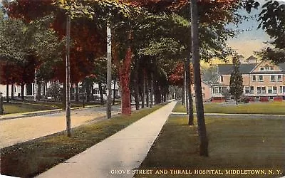 Middletown New York~Grove Street Homes~Thrall Hospital~1914 Postcard • $6