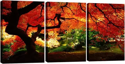 Pyradecor 3 Piece Giclee Canvas Prints 16x24inchx3pcs (40x60cmx3pcs ) Red  • $53.34