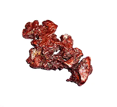 14.9 Gr. Tumbled Float Copper & Silver Halfbreed Nugget From Michigan! RE2110 • $49.95