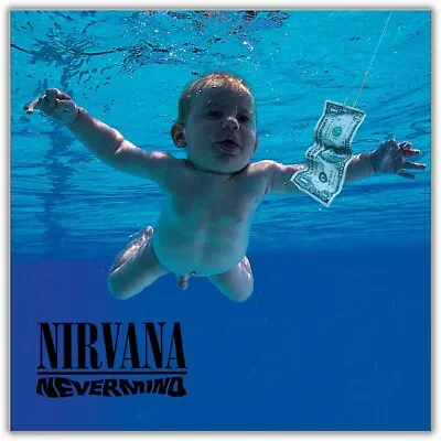 Universal Music Group Nirvana - Nevermind Vinyl LP • $26.97