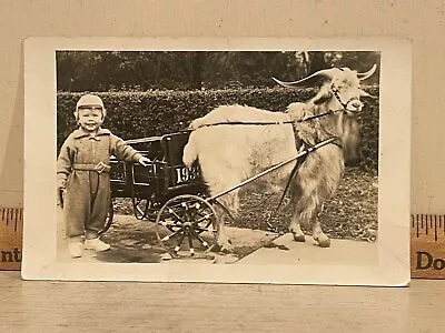 Vintage 1938 RPPC Bock Beer Goat W/ Cart & Young Boy Photo ID'd North Carolina • $15.99