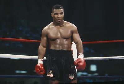 Mike Tyson 24x36 Inch Rolled Wall Poster • $15
