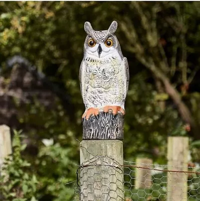 Large Owl Deterrent Garden Lawn Pond Rat Mouse Cat Scarer Pest Decoy Decor Fence • £11.22