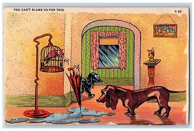 C1930's Dachshund Dog Parrot In Cage Humor Comic Unposted Vintage Postcard • $9.98