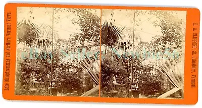 St Johnsbury Vermont VT - CONSERVATORY AT UNDERCLYFFE MANSION - Stereoview • $16.50