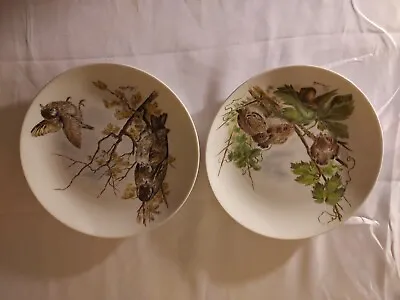 Baby Birds Wild Birds Pair Kaiser Porcelain Plates 7.5  W Germany • $12