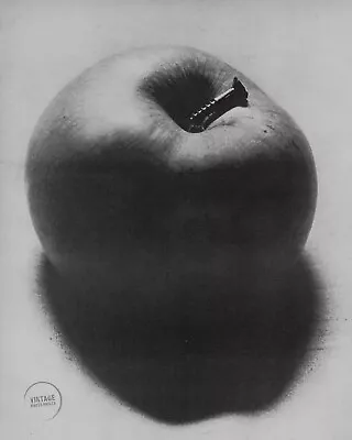 1920-34 Man Ray Vintage Photo Engraving Original Lithograph Still Life 12x14 • $100.34