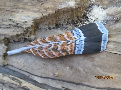 Wooden Carved And Painted Ruffed Grouse Feather Pin By Robert Lis Master Carver • $35