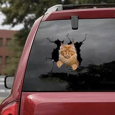 3D Cat Sticker Vinyl Window Decal Accessories For Car Truck Exterior Decoration  • $7.89