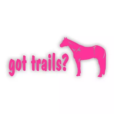 QUARTER HORSE GOT TRAILS Decal For Trail Rider Tack Box Truck Trailer PINK • $9.93
