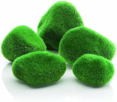 £23.80 • Buy Oase Biorb Polished Moss Mossy Pebble Green Heavy Weighted Aquarium Bio Orb NEW