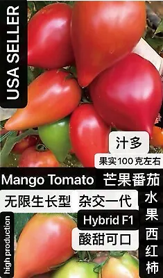 33 Ct Hybrid F1 Mango Tomato Seeds 33粒杂交一代芒果番茄西红柿种子 2023年新种子 • $3.99