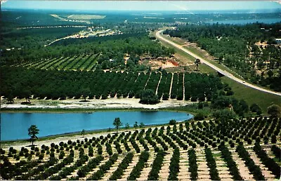 Postcard Clermont Florida FL. View From The Citrus Tower • $6.95