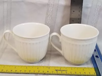 2 Mikasa Italian Countryside Coffee / Tea Mugs  3 3/4  Tall  DD900 • $15.48