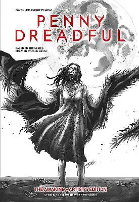 Penny Dreadful Voume 1: Oversized Art Edition By Chris King - New Copy - 9781... • £18.75