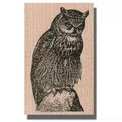Mounted Rubber Stamp Owl Sitting On Rock Horned Owl Animals Bird Wildlife • $9.95