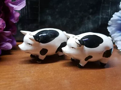 Porcelain Black & White Pigs / Hogs Salt And Pepper Shaker Set. B5 • $10