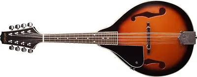 M20 Left-Handed 8-String Bluegrass Mandolin With Adjustable Bridge - Violinburst • $203.99