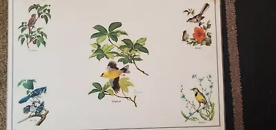 Vintage  Chuck Guy Coheleach  Songbirds Placemats Set Of 4 Goldfinch Blue Jay  • $24.99