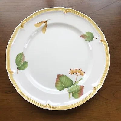 Villeroy & Boch Parkland Dinner Plate • $75