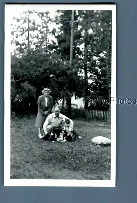Found B&w Photo N_5033 Pretty Woman In Dress Posed Behind Man With Dogs • $6.98