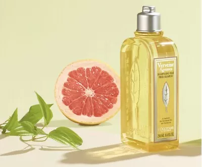 L’OCCITANE Citrus Verbena Fresh Shampoo 8.4 Fl. Oz. Brand New • $27