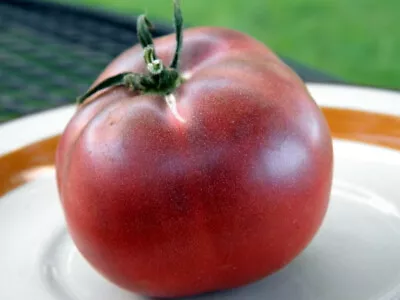 50 Seeds Rosella Purple Tomato Heirloom Vegetable Tomatoe Garden Edible • $3.66