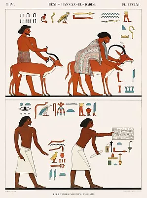 11389.Decor Poster.Home Room Wall Art.Egyptian Pharaoh Treasures.Hieroglyphics • £19.95