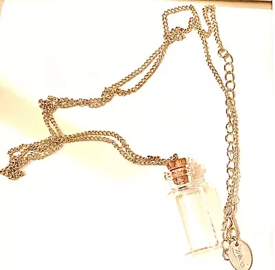 Silver Chain Miniature Glass Bottle Pendant Necklace Message 28 -33” • $38