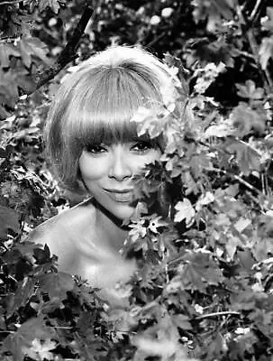 Mireille Darc A Scene Film Pumped Up By Ken Annakink Rome Ital- 1968 Old Photo 1 • $5.79