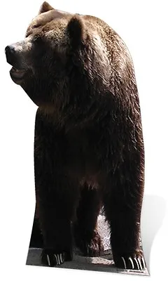 Grizzly Bear Lifesize Cardboard Cutout Fun Figure 165cm Tall - For Your Party • £40.99