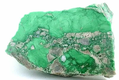 190 Gram 6.7 Ounce 3 9/10 X 2 3/5 Inch Variscite Cabochon Gemstone Rough B20A111 • $142.99