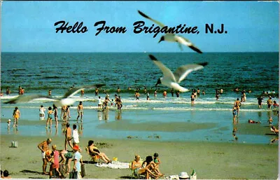 $5.50 • Buy Postcard BEACH SCENE Brigantine New York NY AN7220