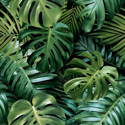 Arthouse Living Wall Green Wallpaper Tropical Jungle Leaves Modern Contemporary • £12.99