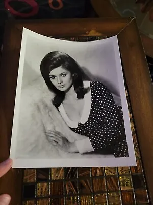 $8.99 • Buy Pamela Tiffin Irving Klaw Archives, Movie Star News Vintage Photo 8x10 1970s #1