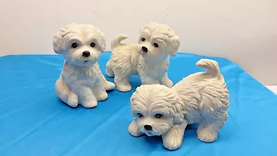 Home Interiors Homco Set Of 3 Figures Maltese/White Puppy Dogs #1411 • $24.95
