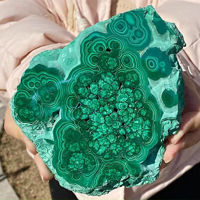 1.49LB Natural Glossy Malachite Transparent Cluster Rough Mineral Sample • $0.99