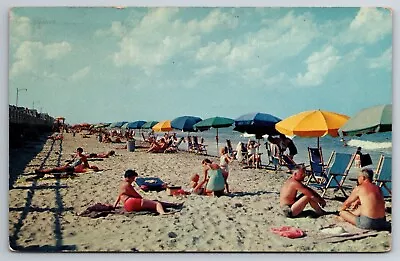 Vintage Postcard VA Virginia Beach Women Men Kids Unbrellas C1960 -2137 • $1.82