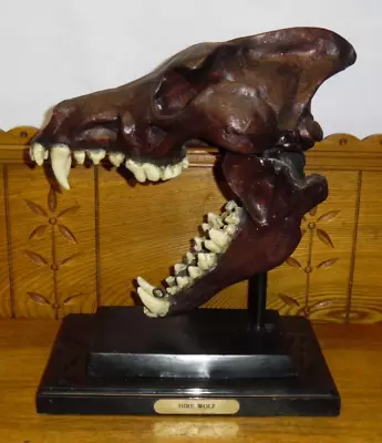 2008 Darren Hussey Bronze Skull Casting Statue - Dire Wolf • $499.99