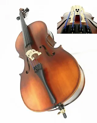 New 1/2  Size CelloProfessional Set Up W/Despiau Bridge Ready To Play! • $685