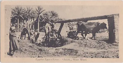 Egypt Vintage Postcard Egyptian Types And Scenes Water Wheel No 104N2  B • £1