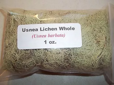 1 Oz. Usnea Lichen (Usnea Barbata) • $5.95