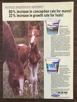 1977 PRINT AD Farnam Mare Plus & Grow Colt Supplements Sweet Mare Colt Photo • $9.85